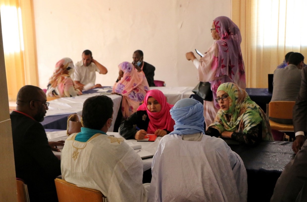 Training Journalists and Activists in Mauritania to Promote Government Accountability and Social Inclusion