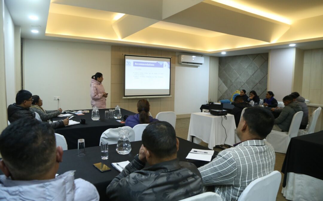 From Research to Action: Advancing Change for Child Domestic Workers in Kathmandu